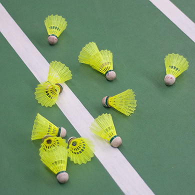 Badminton Court In Pune